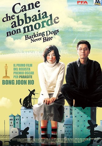 Cane che abbaia non morde