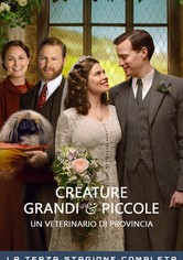 Creature grandi e piccole - Un veterinario di provincia