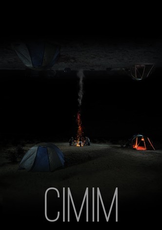 CIMIM