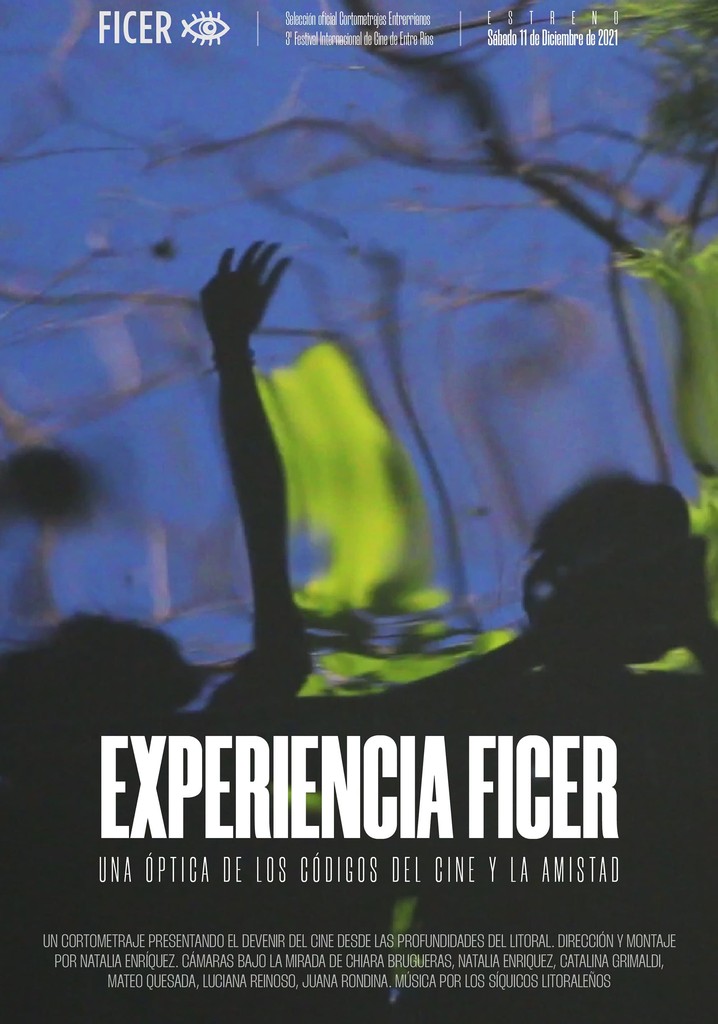 Experiencia FICER