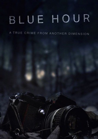 Blue Hour: The Disappearance of Nick Brandreth