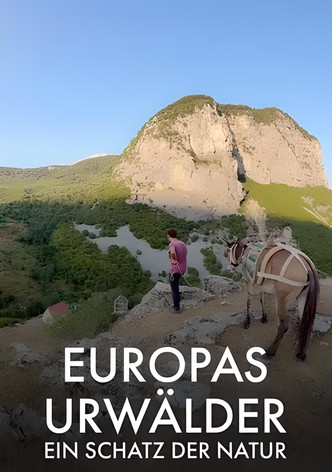 Europas Urwälder, ein Schatz der Natur