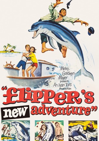 Flipper y los piratas