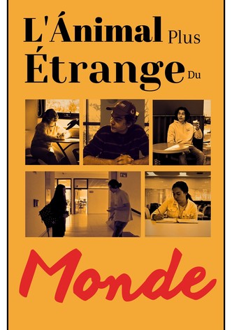 L'Ánimal Plus Étrange Du Monde