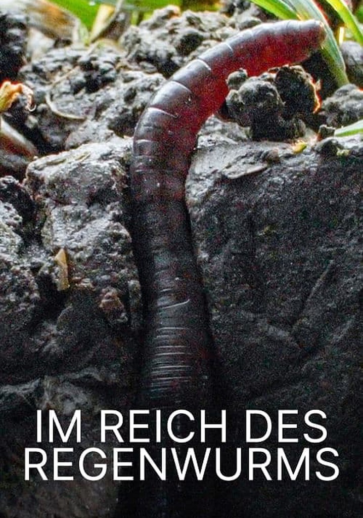 Im Reich des Regenwurms - Der Boden unter unseren Füßen