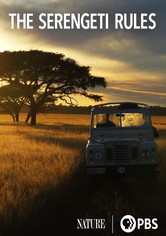The Serengeti Rules