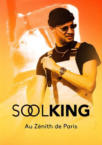 Soolking au Zénith