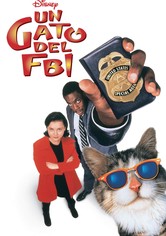 Un gato del FBI