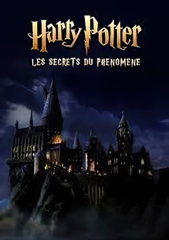 Harry Potter : les secrets du phénomène