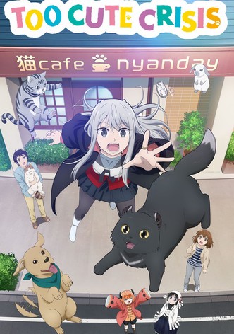 Too Cute Crisis