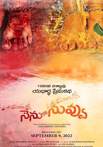 Nenu C/o Nuvvu