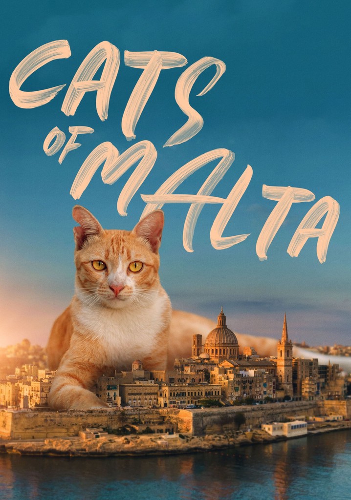 Cats of malta streaming where to watch online 