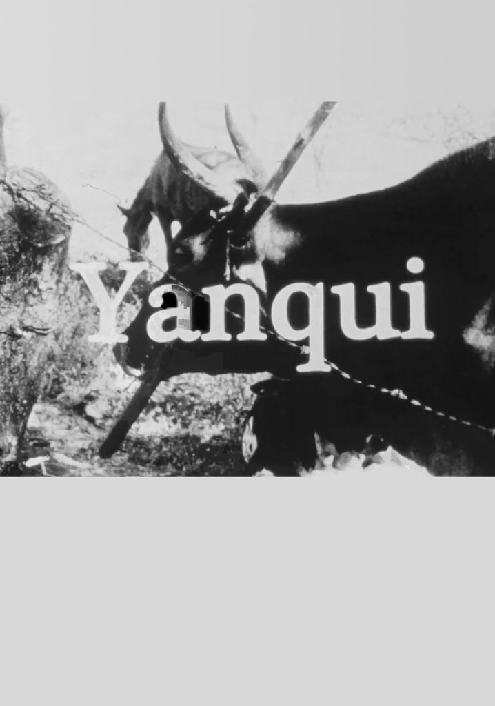 Yanqui WALKER and the OPTICAL REVOLUTION