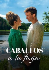 Fliehende Pferde in Sörmland