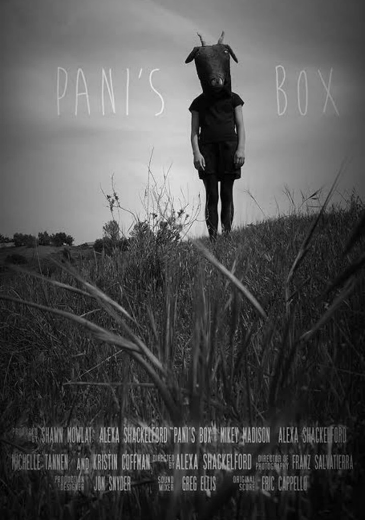 Pani's Box