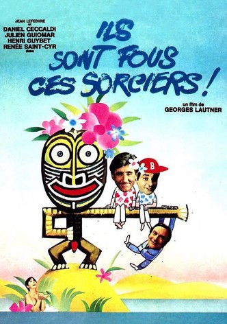 Ils sont fous ces sorciers