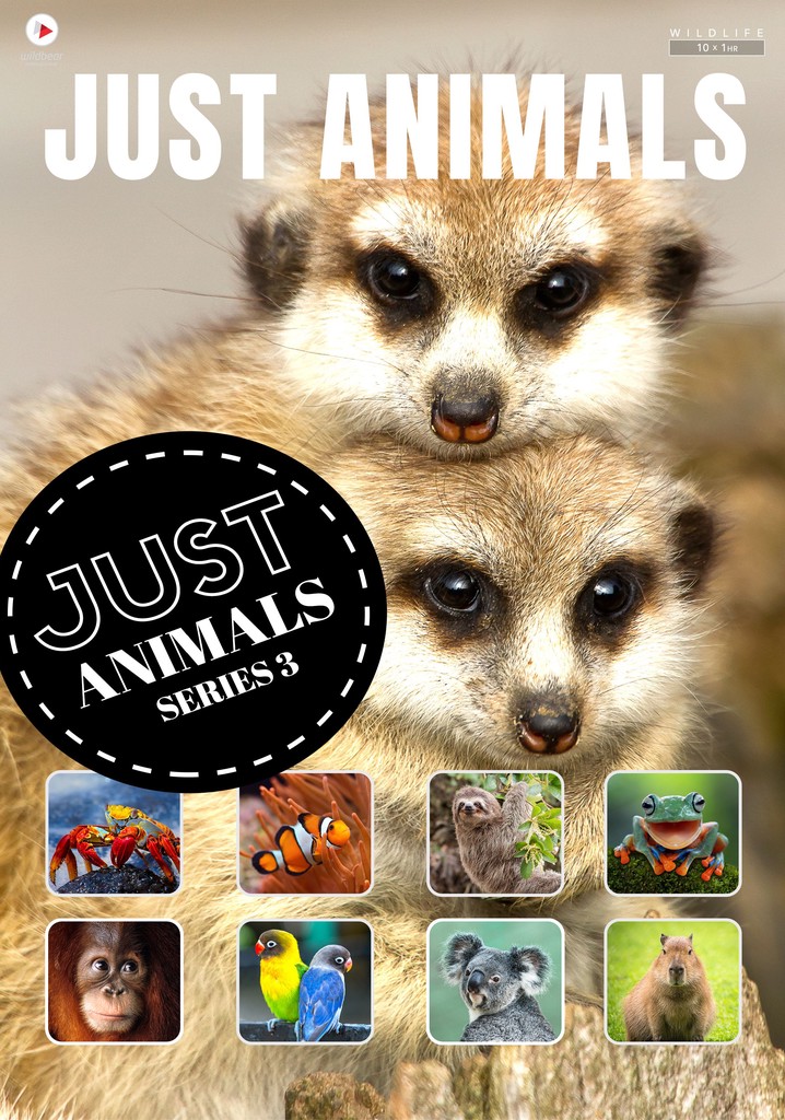 Just Animals watch tv show streaming online