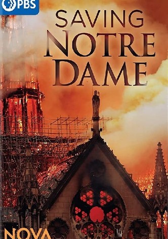 Saving Notre Dame