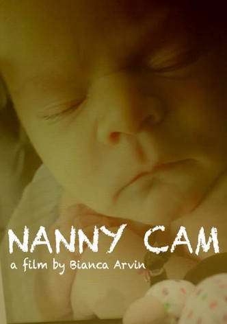 Nanny Cam