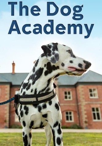 Bad Dog Academy