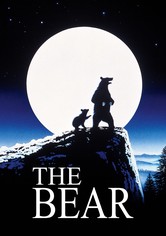 The Bear