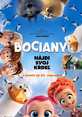 Bociany