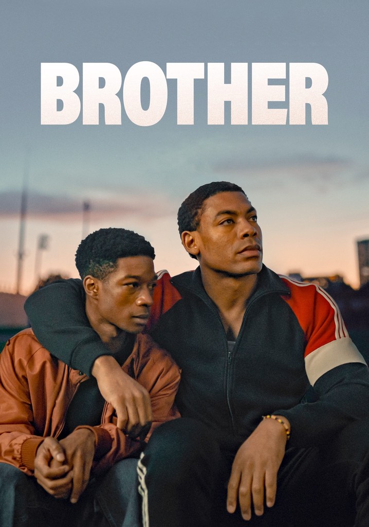 Brothers and Sisters - streaming tv show online