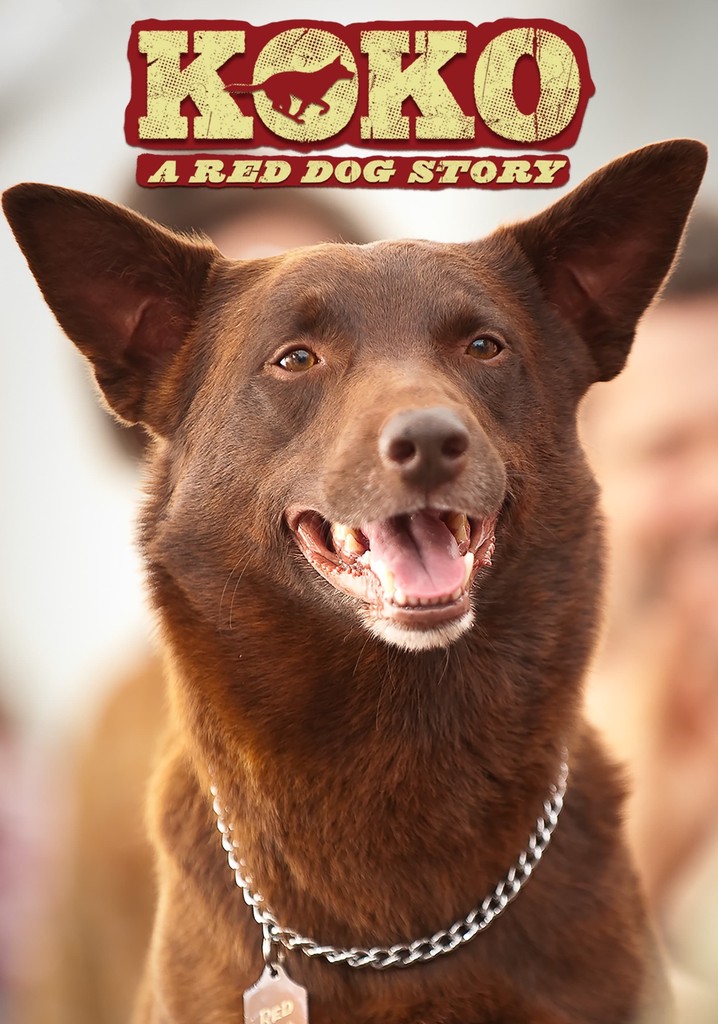 Koko: A Red Dog Story
