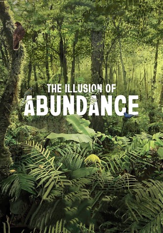 The Illusion of Abundance