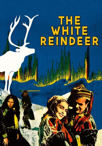 The White Reindeer