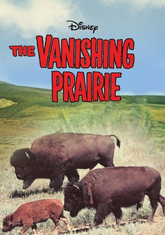 The Vanishing Prairie