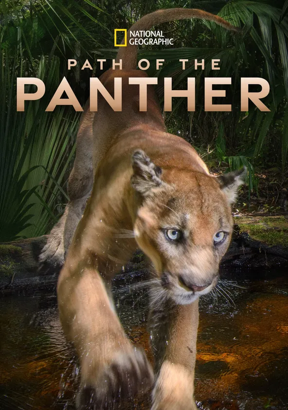 path-of-the-panther-pel-cula-ver-online-en-espa-ol