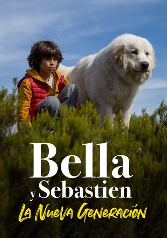 Belle y Sebastián: La nueva generación