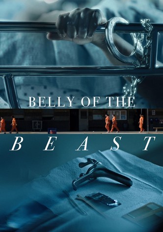 Belly of the Beast