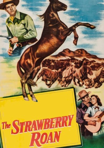 The Strawberry Roan