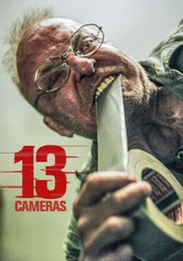13 камер