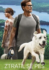 Ztratil se pes