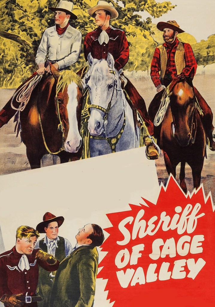 Sheriff of Sage Valley - película: Ver online en español