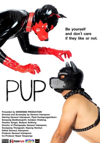 Pup