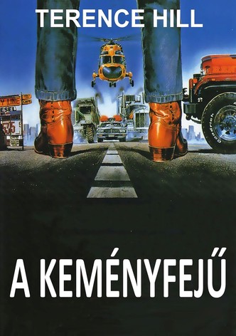 A keményfejű