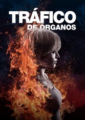 Tráfico de órganos