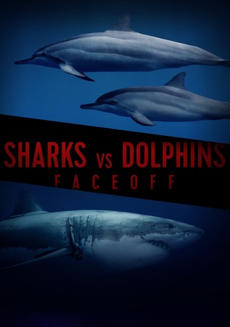 Sharks vs. Dolphins: Face Off