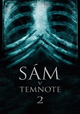 Sám v temnote 2