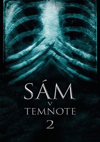 Sám v temnote 2