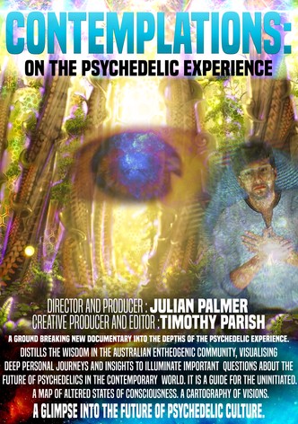 Contemplations: On the Psychedelic Experience