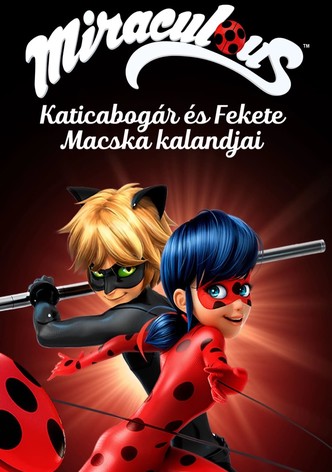 Miraculous - Katicabogár és Fekete Macska kalandjai
