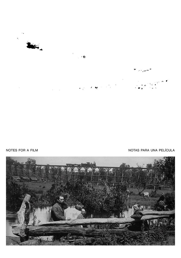 Notes for a Film