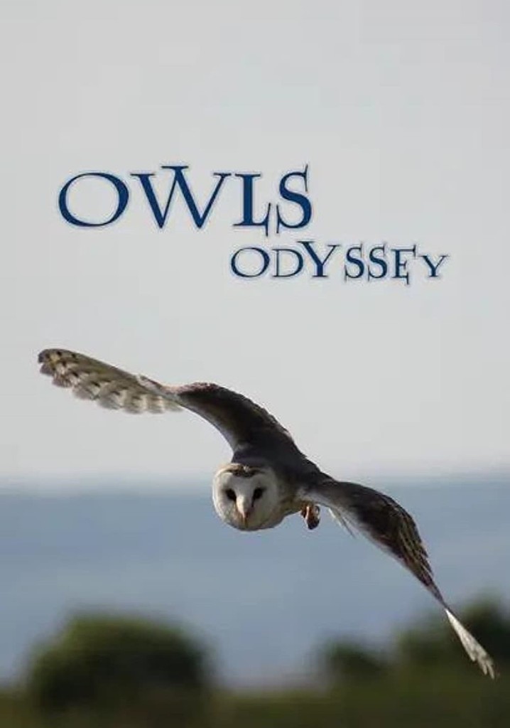 Owl's Odyssey