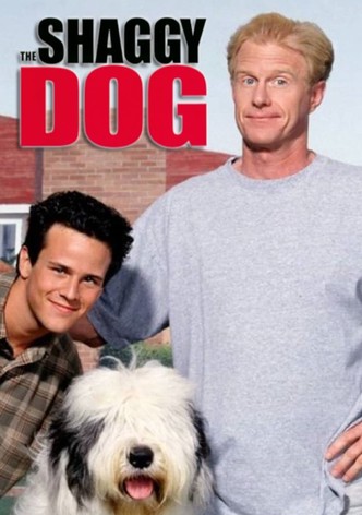 The Shaggy Dog