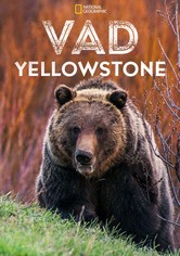Vad Yellowstone
